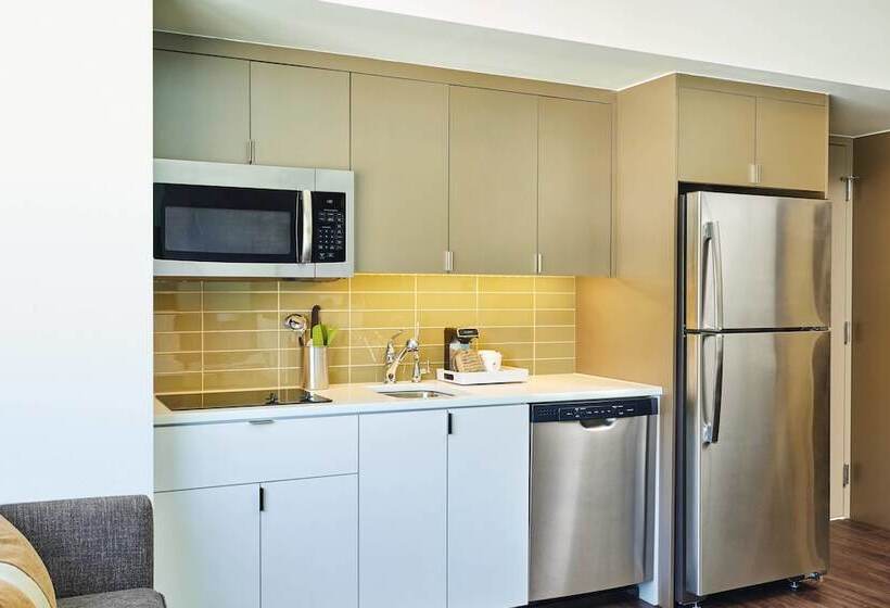 Студия Стандарт Двуспальная Кровать, Element Basalt  Aspen