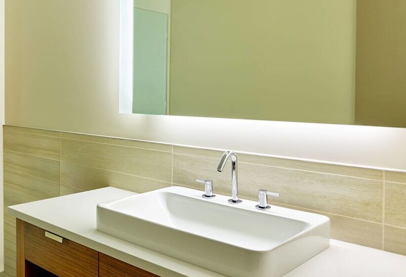 Executive Süit, Element Basalt  Aspen