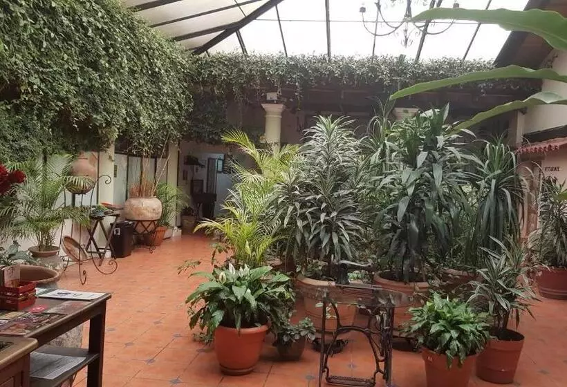 ファミリールーム, San Luis