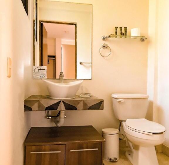 수피리어 룸, Siesta Fiesta Hotel Adults Only 5th Avenue