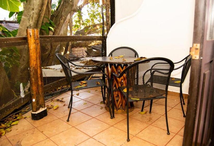 수피리어 스튜디오, Siesta Fiesta Hotel Adults Only 5th Avenue