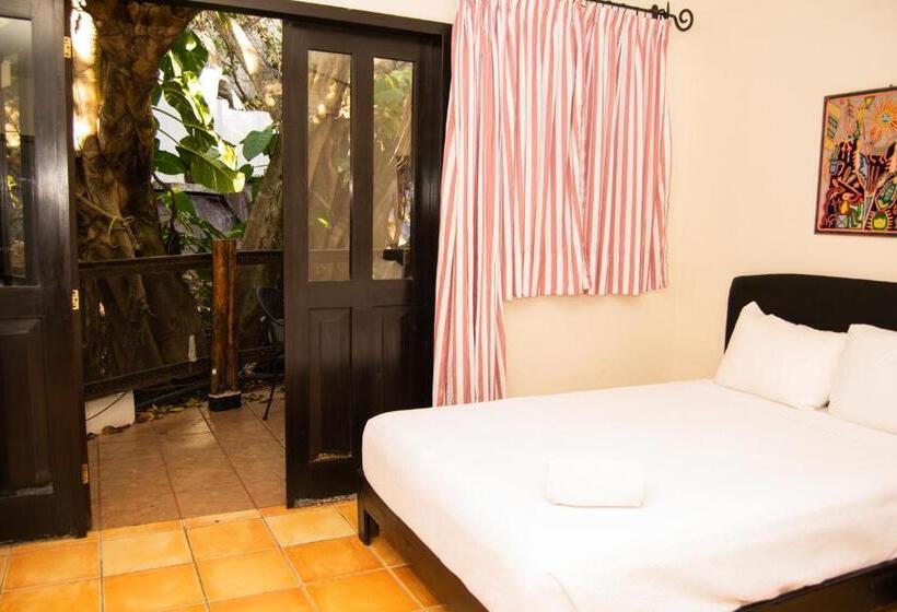 Superior Stúdió Szoba, Siesta Fiesta Hotel Adults Only   5th Avenue