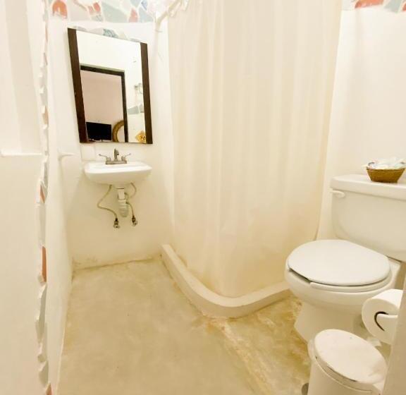 스탠다드 룸, Siesta Fiesta Hotel Adults Only 5th Avenue