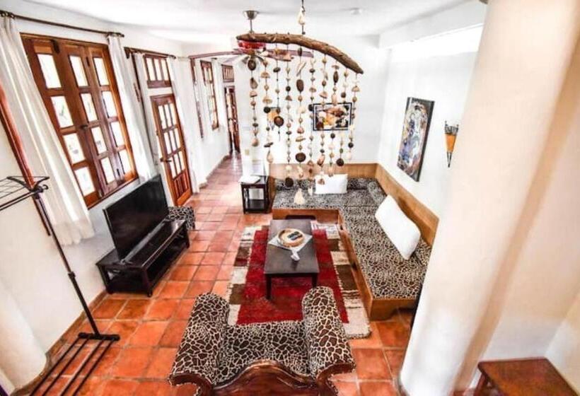 침실 1개 테라스 아파트, Siesta Fiesta Hotel Adults Only 5th Avenue