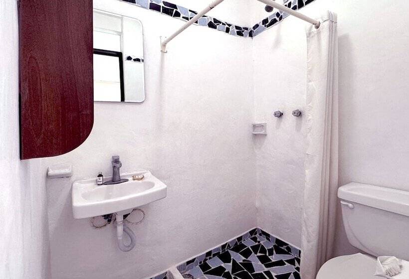 스탠다드 룸, Siesta Fiesta Hotel Adults Only 5th Avenue