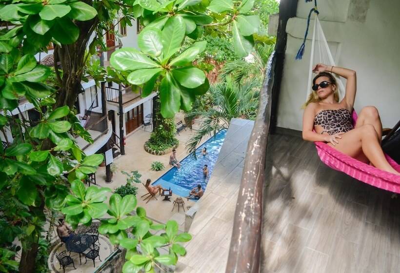 수피리어 룸, Siesta Fiesta Hotel Adults Only 5th Avenue