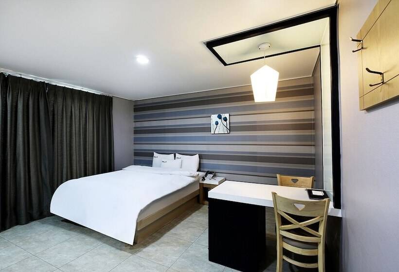 豪华房间, White Tourist