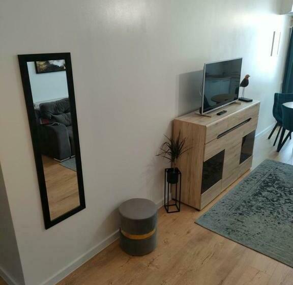 آپارتمان 1 خوابه با بالکن, Apartamente By R S 3