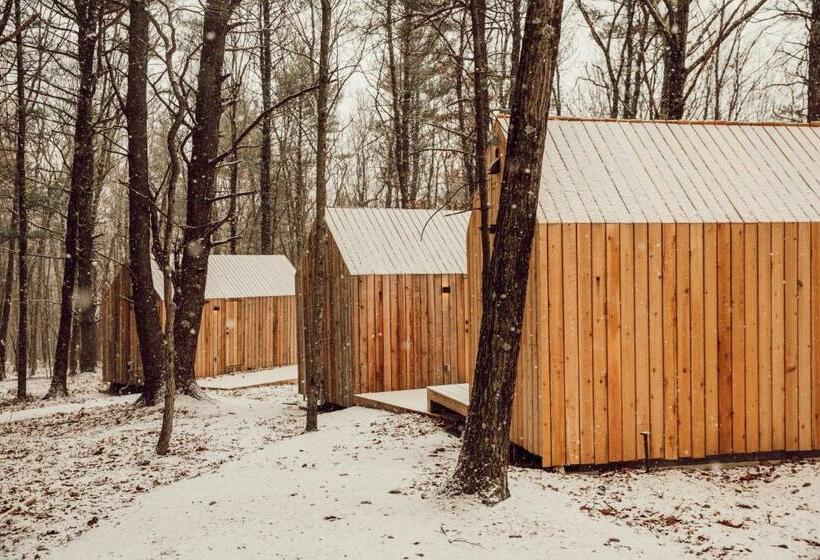 חדר דלוקס יחיד, Gather Greene