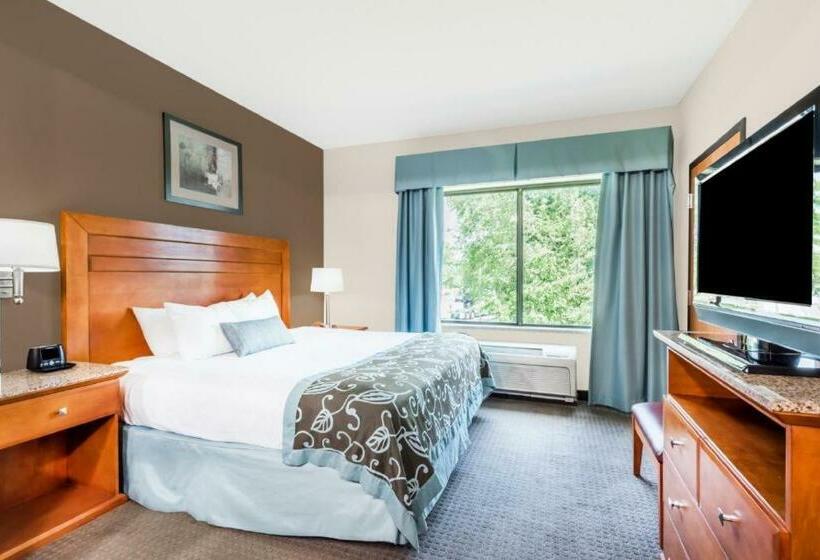 Номер Стандарт Кровать Кинг Адаптированный для Инвалидов, Inn At Lancaster / Pa Dutch County