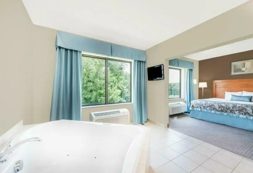 Deluxe Suite King Bed, Inn At Lancaster / Pa Dutch County