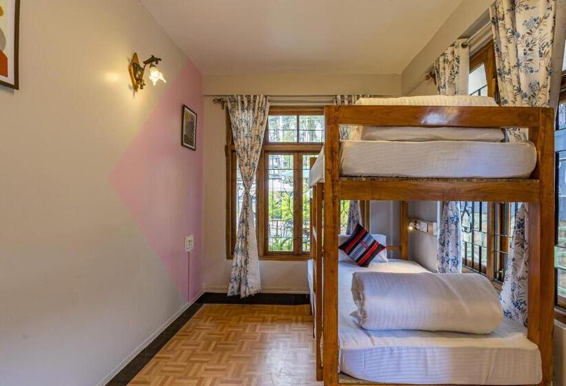 공동 객실, Zostel Shillong