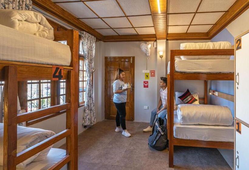 공동 객실, Zostel Shillong