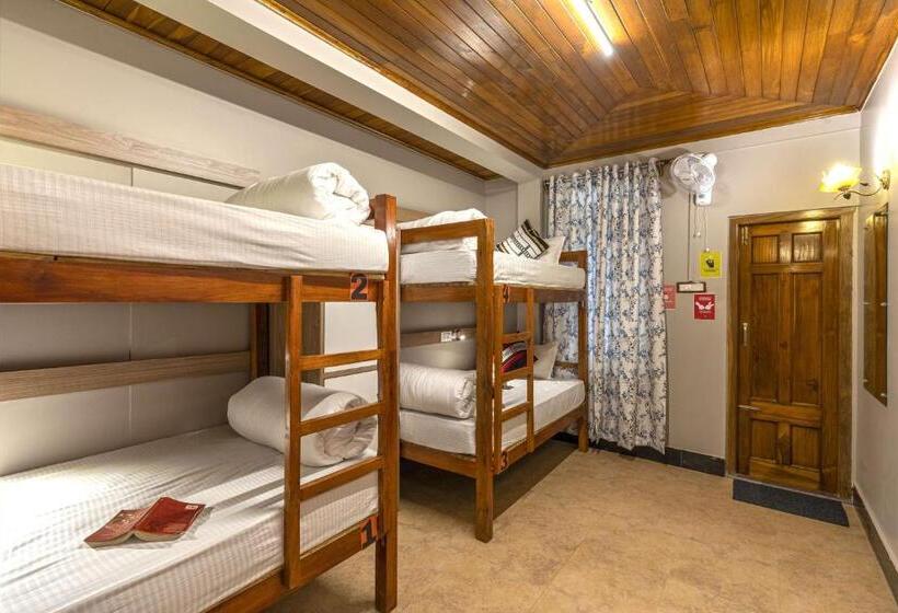 공동 객실, Zostel Shillong