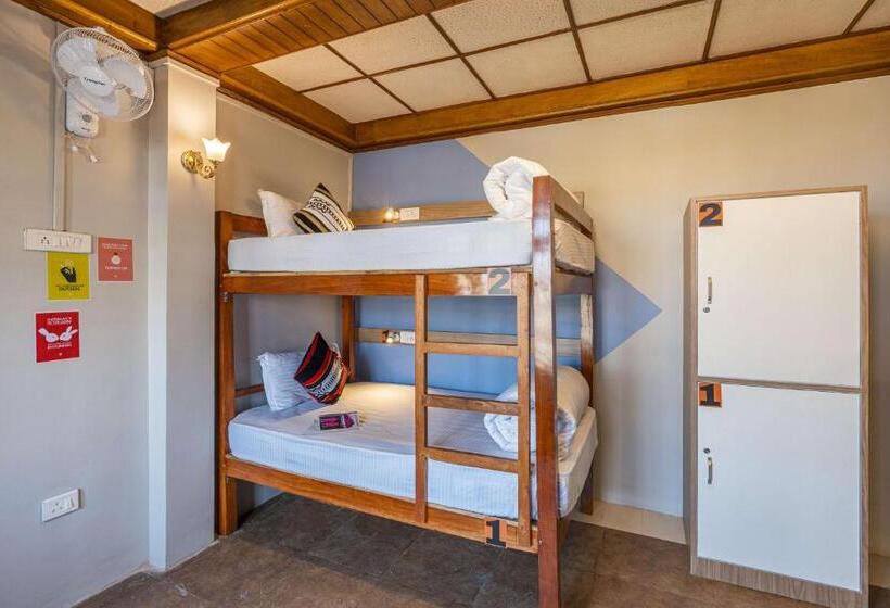 공동 객실, Zostel Shillong