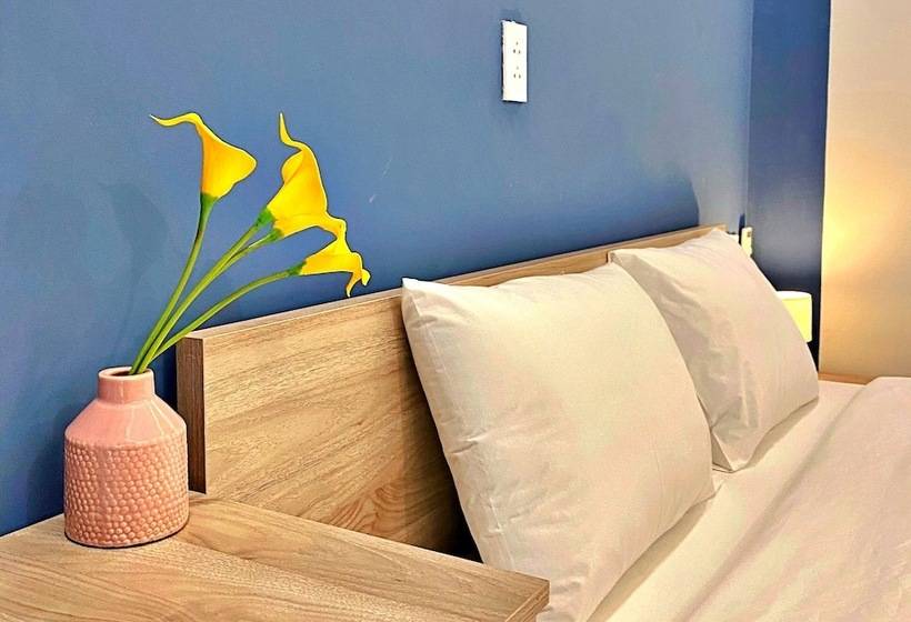 اتاق سوپریور, Hanz Tm01 Monstera Grand Lago