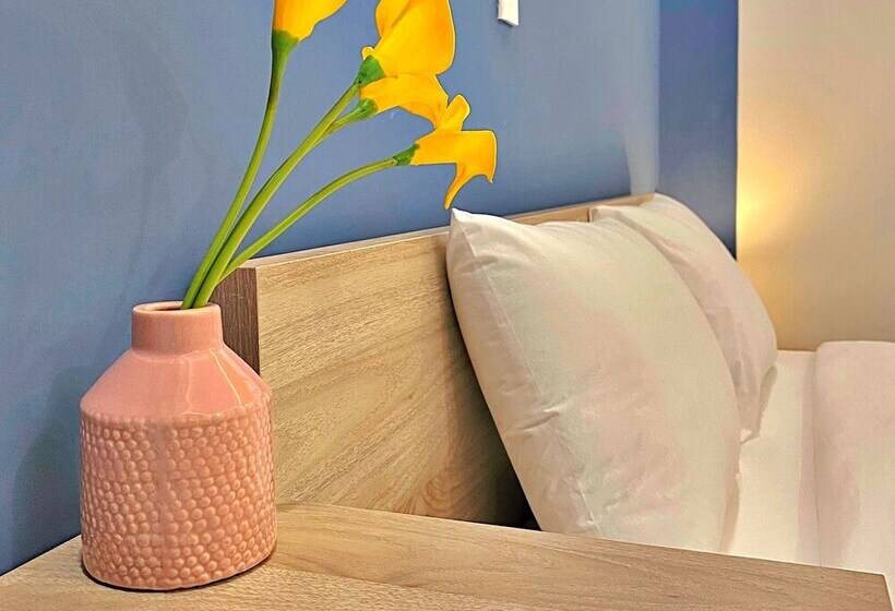 اتاق سوپریور, Hanz Tm01 Monstera Grand Lago