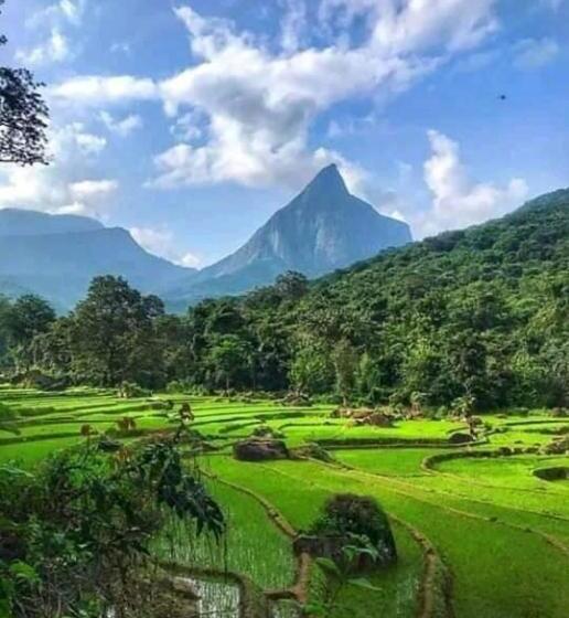 豪华房间, Eco Lodge Meemure & Adventure Park