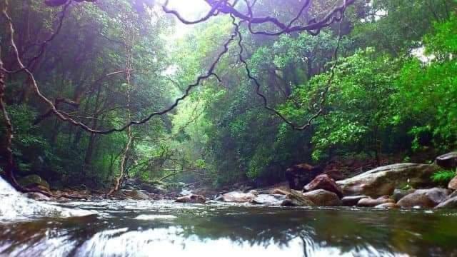 豪华房间, Eco Lodge Meemure & Adventure Park