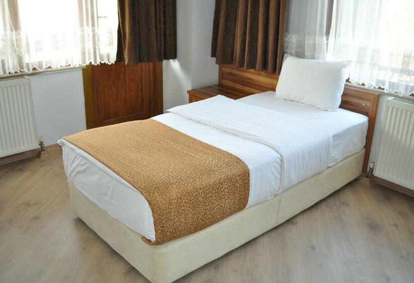 Номер Стандарт Индивидуальный, Park Otel