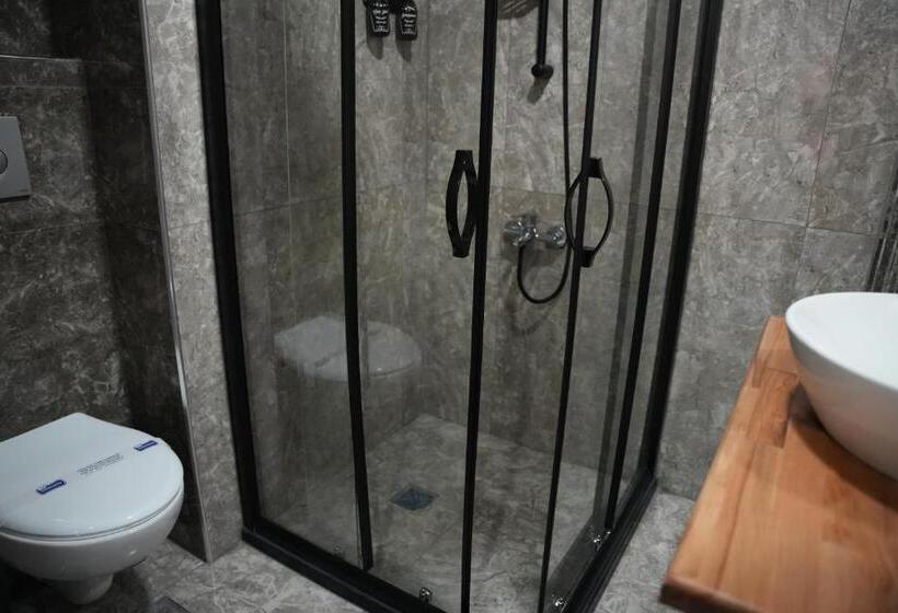 غرفة قياسية, Eniza