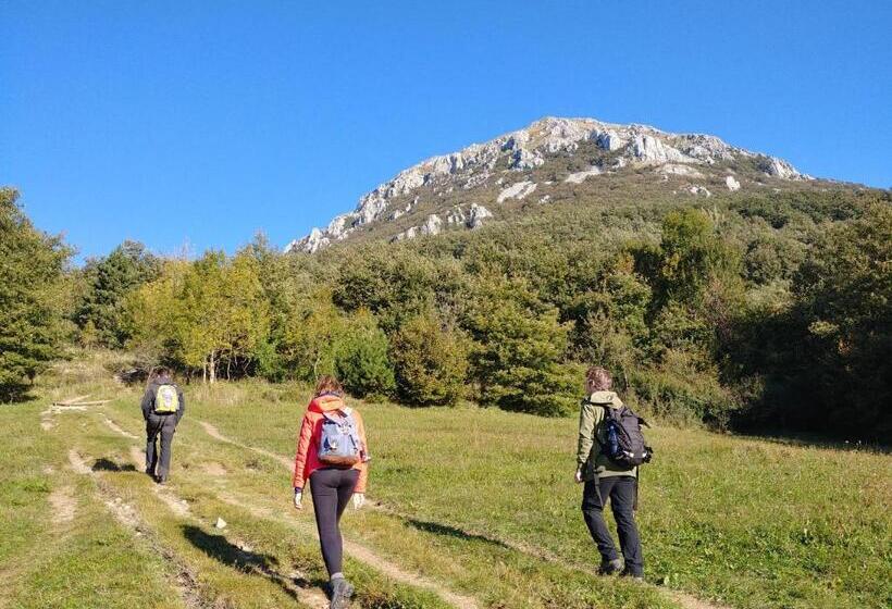 استودیوی سوپریور, Pira