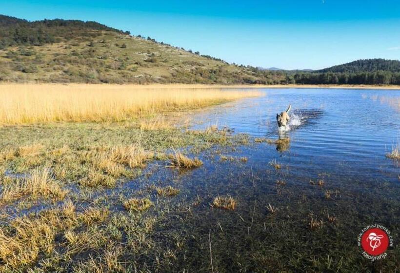 ویلای سوپریور 1 خوابه, Pira