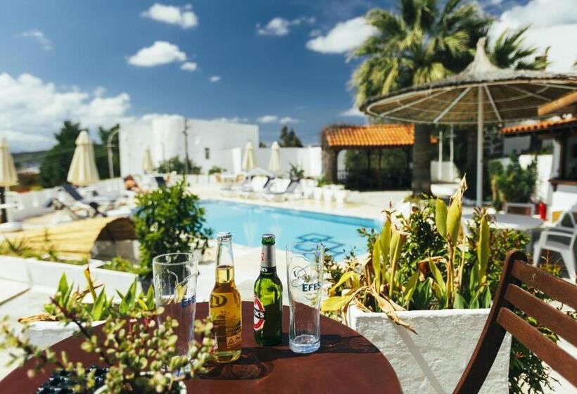 اتاق لوکس با چشم‌انداز دریا, Bodrum Vera