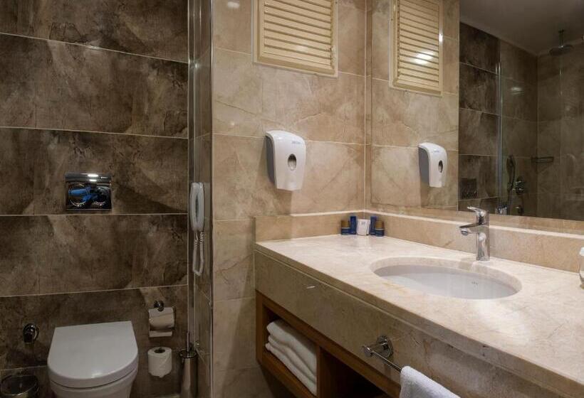 オーシャンビューデラックスルーム, Aquasis De Luxe Resort & Spa  Ultra All Inclusive