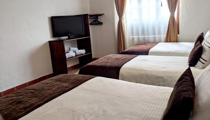 스탠다드 트리플 룸, Boutique La Española