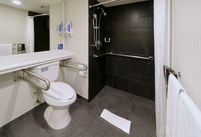 スタンダードルーム, City Express By Marriott Piedras Negras
