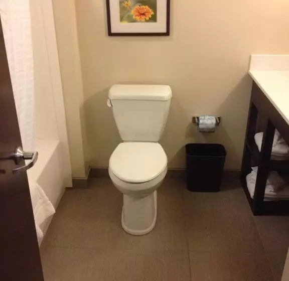 スイート, Comfort Suites Youngstown North