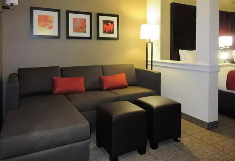 スイート, Comfort Suites Youngstown North