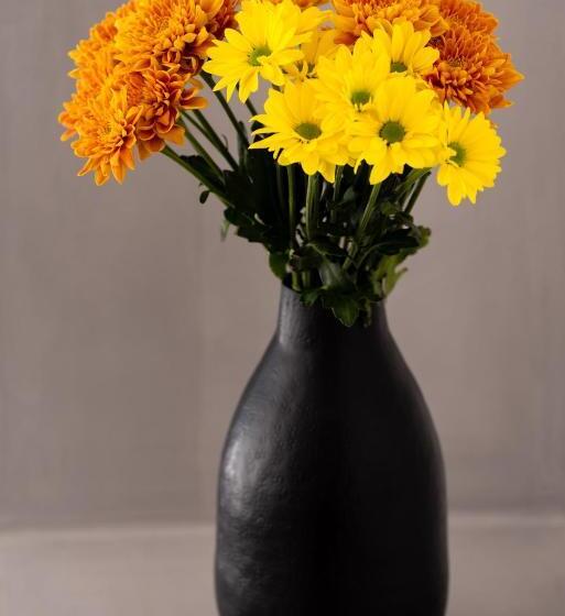 Полулюкс Вид на Море, Day Dream Luxury Suites