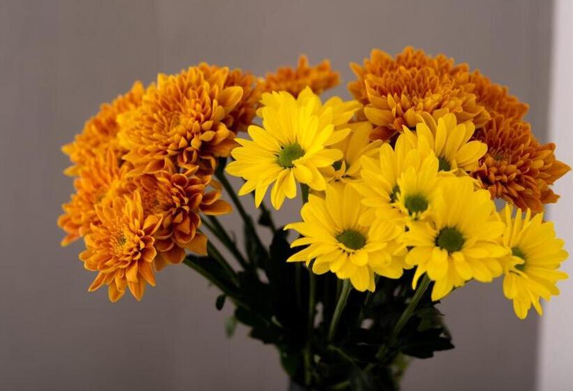 Президентский Люкс, Day Dream Luxury Suites