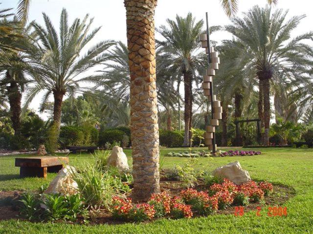 스탠다드 룸, כפר נופש קליה ים המלח