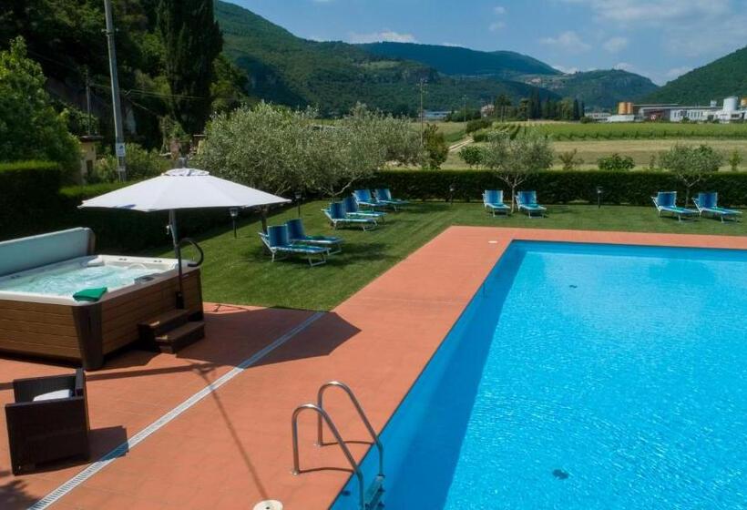 标准单人间, La Pergola