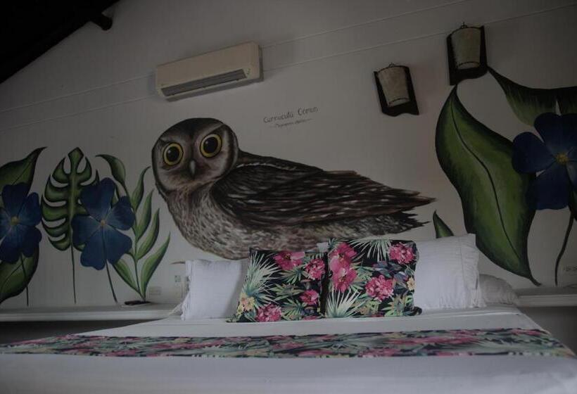 스탠다드 룸, Portón Del Sol