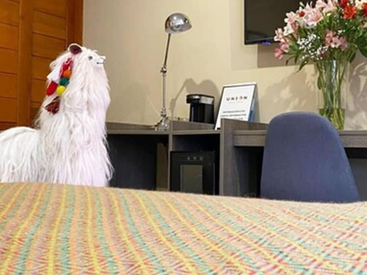 Номер Economy, Union Hotel Cusco