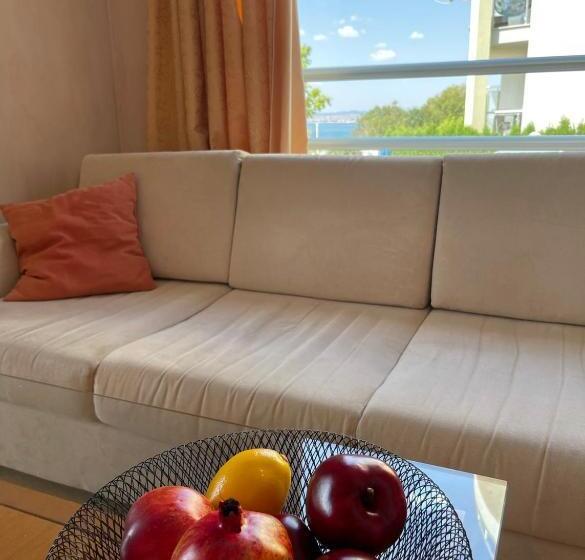 إستوديو قياسى مطل على البحر, Alex Beach Apartello·com   Amazing Apartments With Sea View!