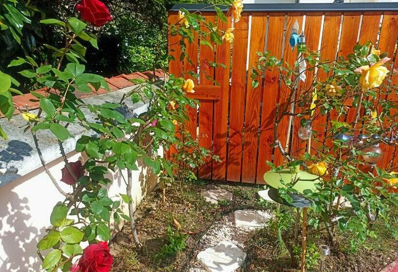 اتاق استاندارد با چشم‌انداز باغ, Un Moment De Douceur