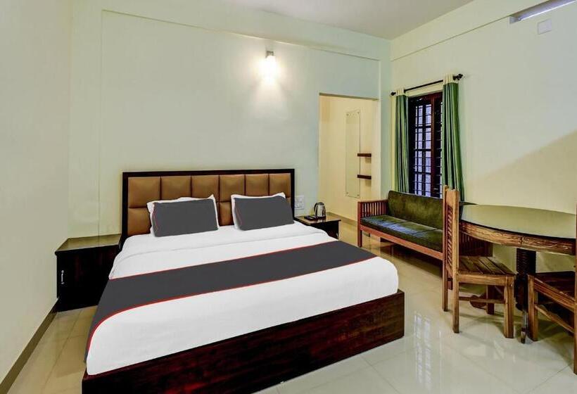 트리플 클래식 룸, Collection O View Vista