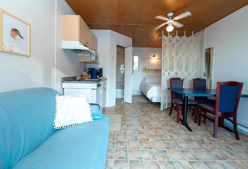 Апартаменты 1 Спальня с Террасой, Navigateur Ste Luce