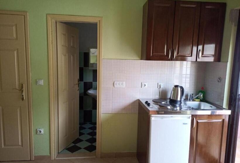 اتاق استاندارد با بالکن و چشمانداز دریا, Apartments Normannia