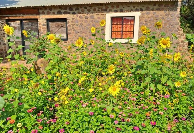 家族用バンガロー, Hollybrooke Adventure Farm