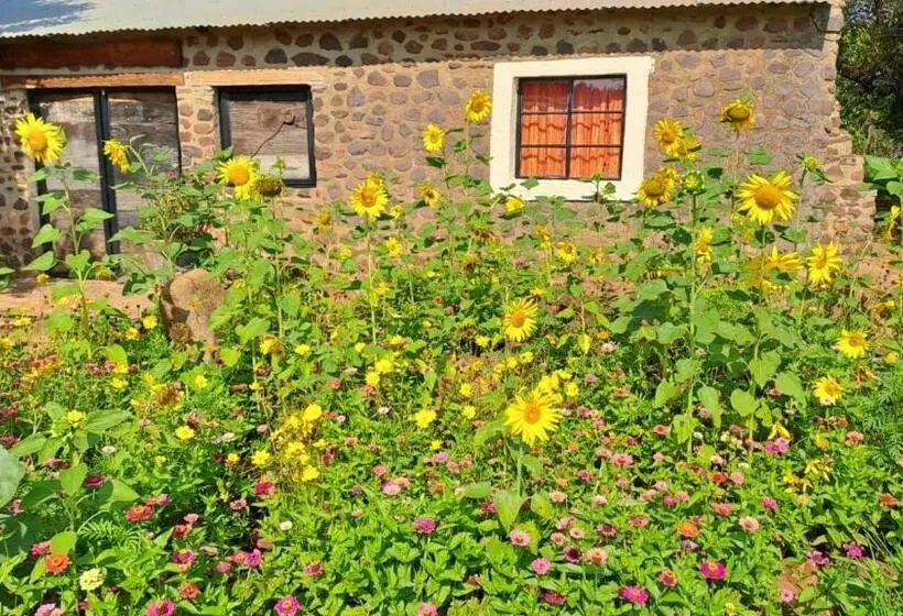 家族用バンガロー, Hollybrooke Adventure Farm