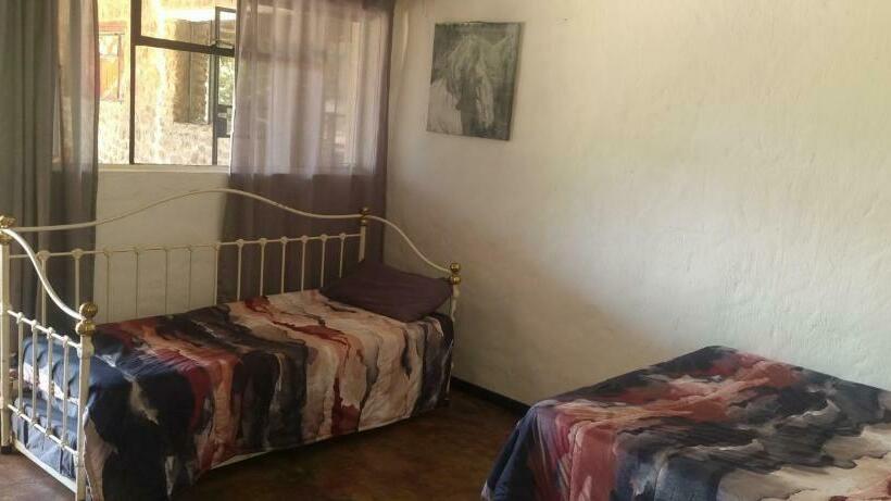 家族用バンガロー, Hollybrooke Adventure Farm