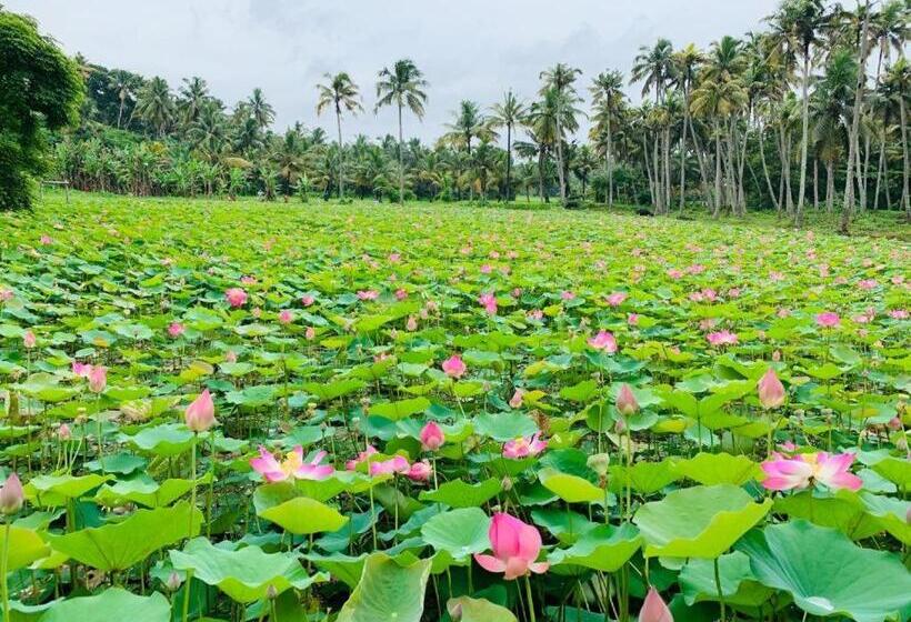 اتاق لوکس, Maadathil Cottages & Beach Resort