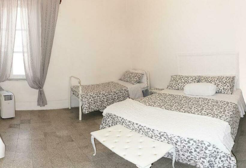 标准三人间, Palazzo Nari