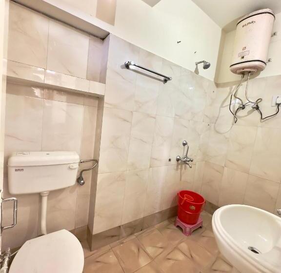 غرفة إقتصادية, Shivling View